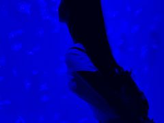 -沈阳海洋探索中心