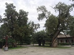 -黄帝陵
