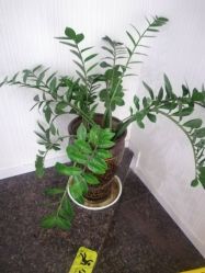 -痘博士昆明·国际祛痘领跑品牌