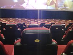 -AMG海上明珠影城(上海环球港RealDCinema店)