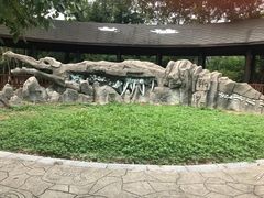 -中国扬子鳄村
