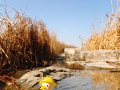 -绿堤公园