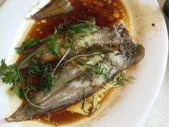 -万山楼海鲜酒家·二十三年老字号