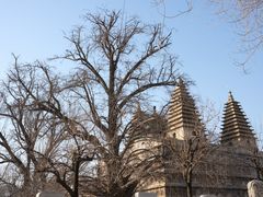-北京石刻艺术博物馆(五塔寺)