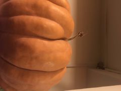 -老姐石板烧烤+铜炭火锅(总店)