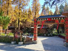 -云南民族村