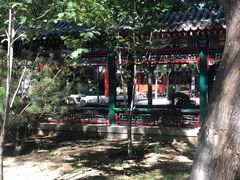 -南宫五洲植物乐园