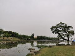 -滆湖低碳生态公园