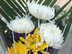 -上海卫家角息园有限公司
