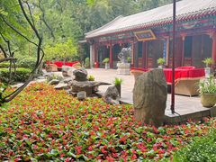 -白家大院·王府宫廷菜(苏州街店)