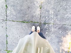 -上海方塔园