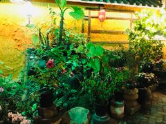 -园林美食城·本土农家菜(杨和镇店)