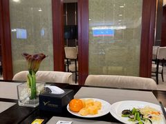 -郑州新郑国际机场T2航站楼-贵宾厅B区