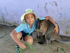 -西霞口神雕山野生动物世界