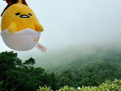 -太平山顶