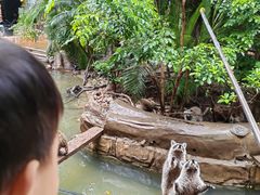 -长鹿旅游休博园