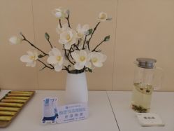 -Yestar艺星医疗美容医院
