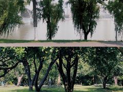 -橘子洲景区