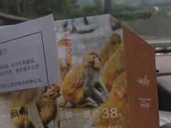 -重庆雨台山风景区