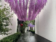 -南京市民俗博物馆(甘熙宅第)