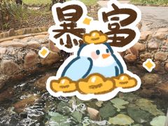 -三亚海棠湾南田温泉神龙谷