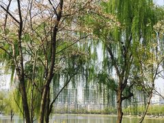-西北湖绿化广场