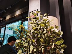 -咖法森林·咖啡  酒吧(天河店)