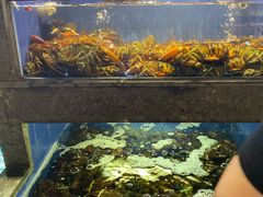 水产区-徐记海鲜(陕西历史博物馆|明德门店)