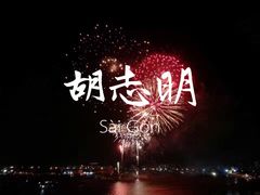 -胡志明市美术馆