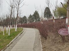 -西安汉城湖景区