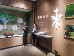 -太湖雪蚕桑文化园