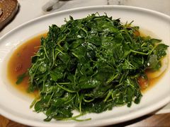 -老绍兴养和饭店(向阳不夜城店)