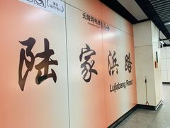 -陆家浜路(地铁站)