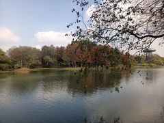 -西溪国家湿地公园