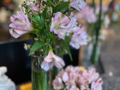 -广州花园酒店