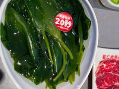 海带结-为什么牛潮汕牛肉火锅(中信广场店)