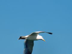 -丁香湖公园