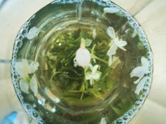-十一街苍蝇馆子转经消江湖菜(九眼桥十一街店)