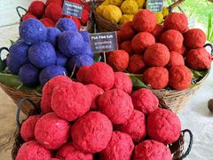 -大象粑粑造纸公园