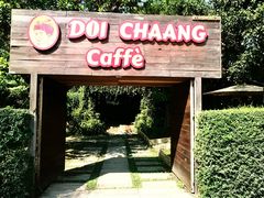 -DOI CHAANG Caffè Maesuai