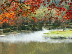 -田野绿世界
