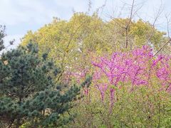-南汇桃花村