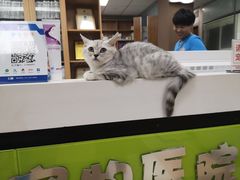 -奈斯宠物医院·核磁CT·异宠专科·内镜(中南店)