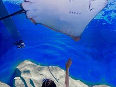 -顺德南宏海立方海洋公园