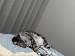 -美美宠物诊疗中心·异宠·骨科(滨江东信分院)