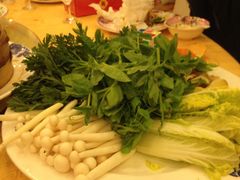 -鸿恩陶然大观园