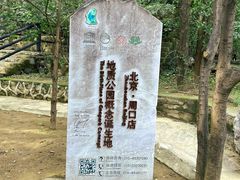 -周口店北京人遗址公园