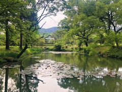 -杭州植物园