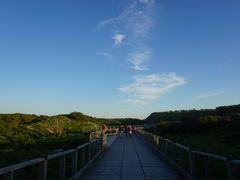 -企鹅岛