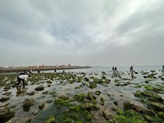 -小石岛景区